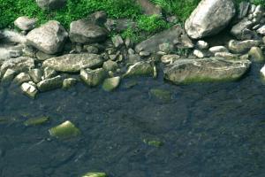<img300*0:stuff/z/169023/chittenango%2520falls%25202/i1248734864_31.jpg>