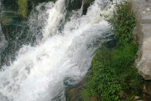 <img300*0:stuff/z/169023/chittenango%2520falls%25202/i1248734864_32.jpg>
