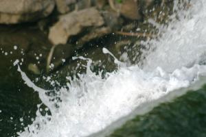 <img200*0:http://elftown.heddate.com/stuff/z/169023/chittenango%2520falls%25202/i1248734864_34.jpg?y=0&x=300>