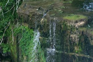 <img300*0:stuff/z/169023/chittenango%2520falls%25202/i1248734864_35.jpg>