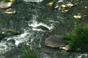 <img300*0:stuff/z/169023/chittenango%2520falls%25202/i1248734864_37.jpg>