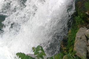 <img300*0:stuff/z/169023/chittenango%2520falls%25202/i1248734864_38.jpg>