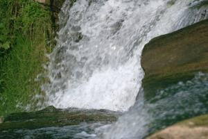 <img300*0:stuff/z/169023/chittenango%2520falls%25202/i1248734864_39.jpg>