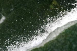 <img300*0:stuff/z/169023/chittenango%2520falls%25202/i1248734864_40.jpg>