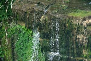 <img300*0:stuff/z/169023/chittenango%2520falls%25202/i1248734865_41.jpg>