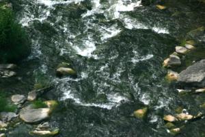 <img300*0:stuff/z/169023/chittenango%2520falls%25202/i1248736494_1.jpg>