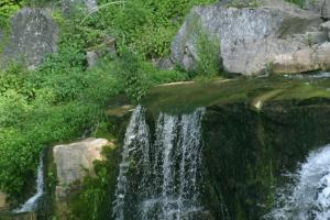 <img300*0:stuff/z/169023/chittenango%2520falls%25202/i1248736495_6.jpg>