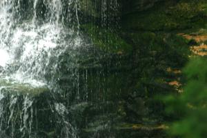 <img300*0:stuff/z/169023/chittenango%2520falls%25202/i1248736495_7.jpg>
