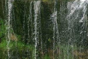 <img300*0:stuff/z/169023/chittenango%2520falls%25202/i1248736496_12.jpg>