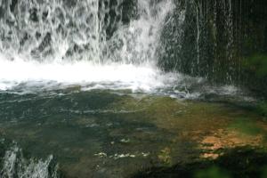 <img300*0:stuff/z/169023/chittenango%2520falls%25202/i1248736496_13.jpg>