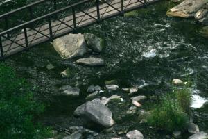 <img300*0:stuff/z/169023/chittenango%2520falls%25202/i1248736496_14.jpg>