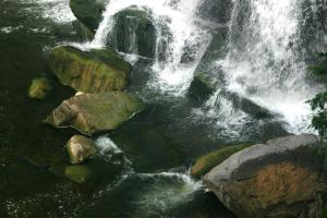 <img300*0:stuff/z/169023/chittenango%2520falls%25202/i1248736496_17.jpg>