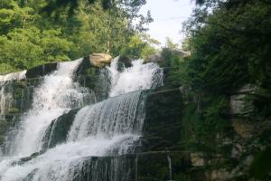 <img300*0:stuff/z/169023/chittenango%2520falls%25202/i1248736496_20.jpg>