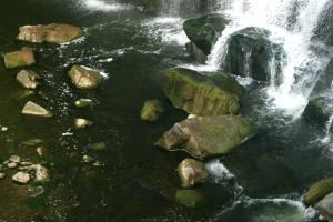 <img300*0:stuff/z/169023/chittenango%2520falls%25202/i1248736497_23.jpg>