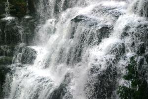 <img300*0:stuff/z/169023/chittenango%2520falls%25202/i1248736497_28.jpg>