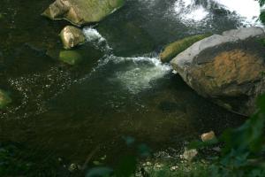 <img300*0:stuff/z/169023/chittenango%2520falls%25202/i1248736497_29.jpg>
