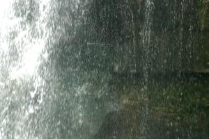<img300*0:stuff/z/169023/chittenango%2520falls%25202/i1248736497_31.jpg>
