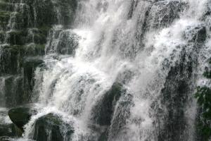<img300*0:stuff/z/169023/chittenango%2520falls%25202/i1248736498_34.jpg>