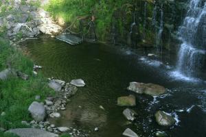 <img300*0:stuff/z/169023/chittenango%2520falls%25202/i1248736498_35.jpg>