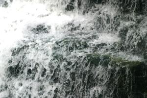 <img300*0:stuff/z/169023/chittenango%2520falls%25202/i1248736498_36.jpg>