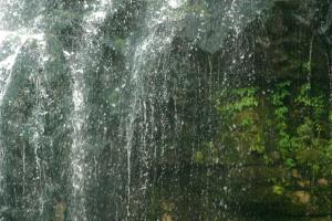 <img300*0:stuff/z/169023/chittenango%2520falls%25202/i1248736498_37.jpg>