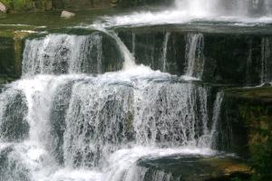 <img300*0:stuff/z/169023/chittenango%2520falls%25202/i1248736498_39.jpg>