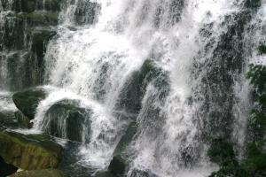 <img300*0:stuff/z/169023/chittenango%2520falls%25202/i1248736498_40.jpg>