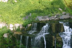 <img300*0:stuff/z/169023/chittenango%2520falls%25202/i1248736498_41.jpg>