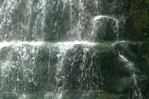 <img300*0:stuff/z/169023/chittenango%2520falls%25202/i1248736867_1.jpg>