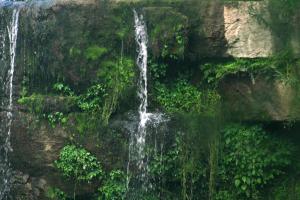 <img300*0:stuff/z/169023/chittenango%2520falls%25202/i1248736867_2.jpg>