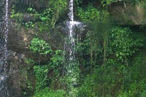 <img300*0:stuff/z/169023/chittenango%2520falls%25202/i1248736867_4.jpg>