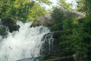 <img300*0:stuff/z/169023/chittenango%2520falls%25203/i1248891548_1.jpg>