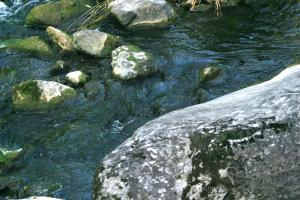 <img300*0:stuff/z/169023/chittenango%2520falls%25203/i1248891549_11.jpg>