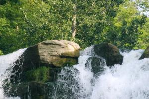 <img300*0:stuff/z/169023/chittenango%2520falls%25203/i1248891549_2.jpg>