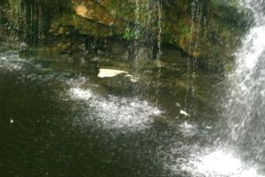 <img300*0:stuff/z/169023/chittenango%2520falls%25203/i1248891549_3.jpg>
