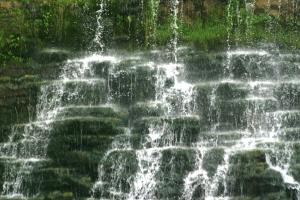 <img300*0:stuff/z/169023/chittenango%2520falls%25203/i1248891549_7.jpg>