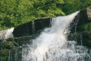 <img300*0:stuff/z/169023/chittenango%2520falls%25203/i1248891549_8.jpg>