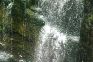 <img300*0:stuff/z/169023/chittenango%2520falls%25203/i1248891549_9.jpg>