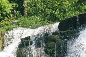 <img300*0:stuff/z/169023/chittenango%2520falls%25203/i1248891550_14.jpg>