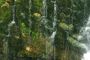 <img300*0:stuff/z/169023/chittenango%2520falls%25203/i1248891550_15.jpg>