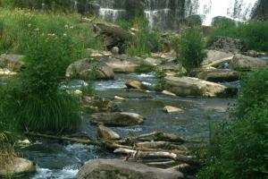 <img300*0:stuff/z/169023/chittenango%2520falls%25203/i1248891550_16.jpg>
