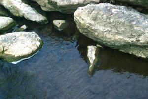 <img300*0:stuff/z/169023/chittenango%2520falls%25203/i1248891550_17.jpg>