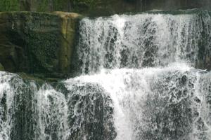 <img300*0:stuff/z/169023/chittenango%2520falls%25203/i1248891550_18.jpg>