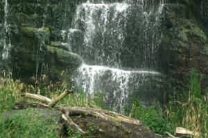 <img300*0:stuff/z/169023/chittenango%2520falls%25203/i1248891550_19.jpg>