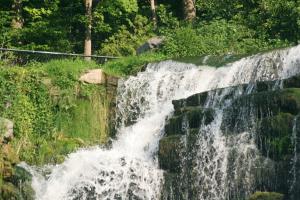 <img300*0:stuff/z/169023/chittenango%2520falls%25203/i1248891550_20.jpg>