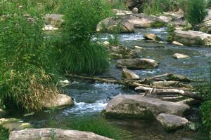 <img300*0:stuff/z/169023/chittenango%2520falls%25203/i1248891551_22.jpg>