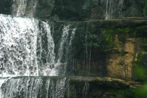<img300*0:stuff/z/169023/chittenango%2520falls%25203/i1248891551_25.jpg>