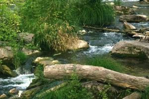 <img300*0:stuff/z/169023/chittenango%2520falls%25203/i1248891551_28.jpg>