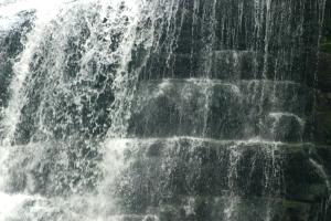 <img300*0:stuff/z/169023/chittenango%2520falls%25203/i1248891551_29.jpg>