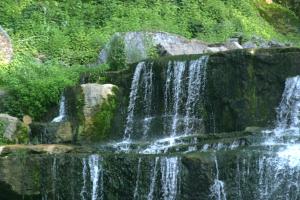 <img300*0:stuff/z/169023/chittenango%2520falls%25203/i1248891551_30.jpg>